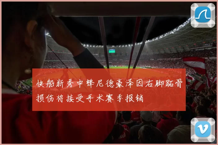 快船新秀中锋尼德豪泽因右脚跖骨损伤将接受手术赛季报销